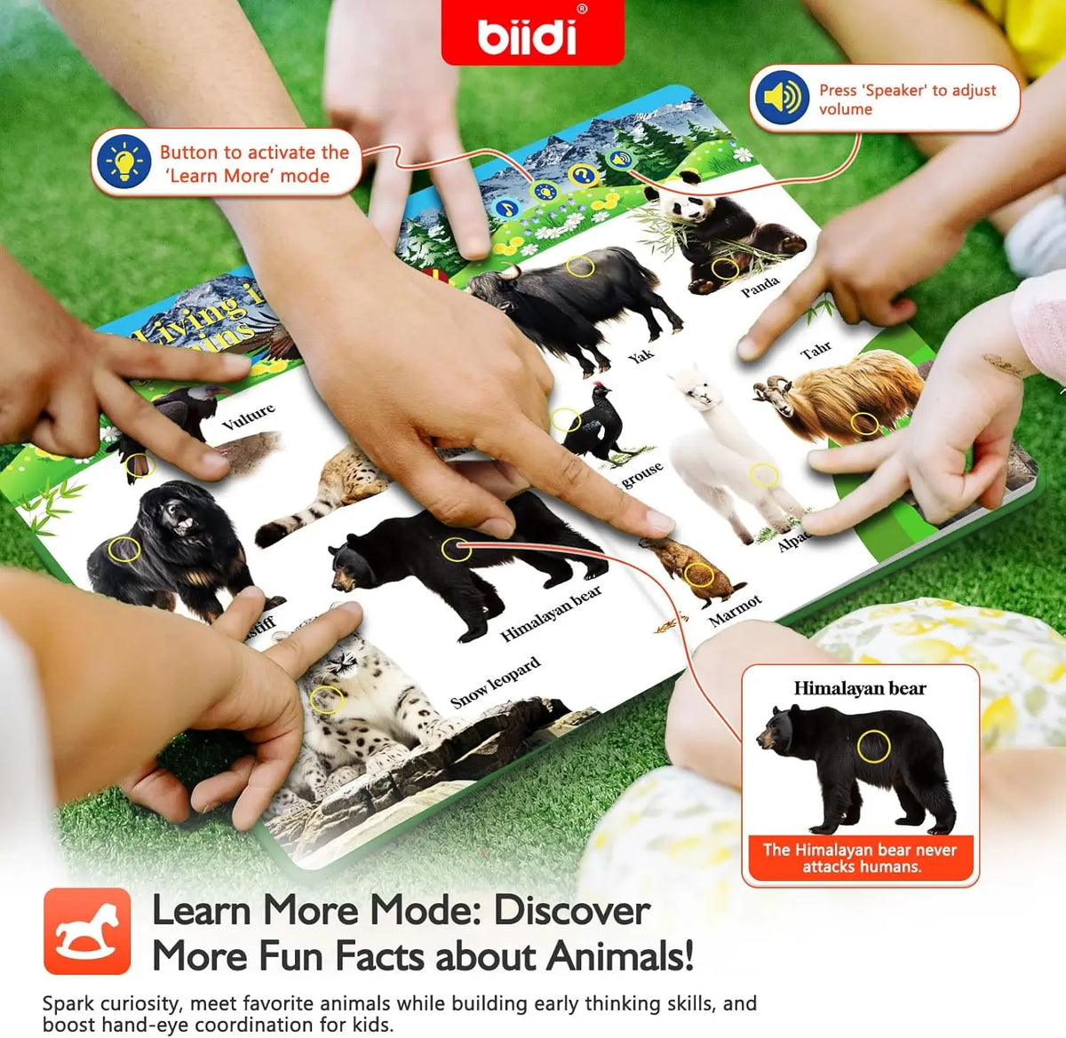 Biidi Animal Talking Book With Interactive Audio For Kids