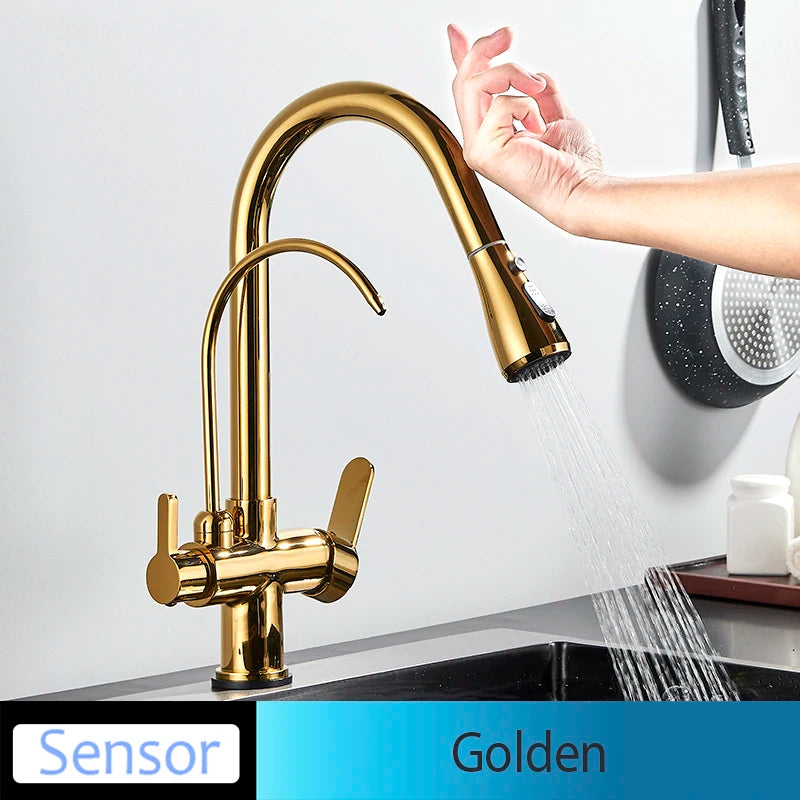 Onyzpily Kitchen Faucet No Sensor With Pull Out Spray Dual Handle