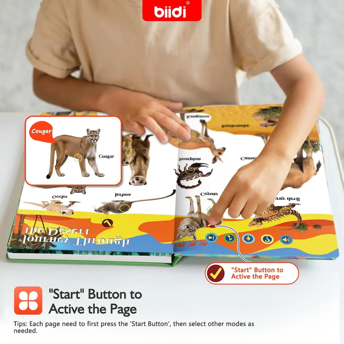Biidi Animal Talking Book With Interactive Audio For Kids